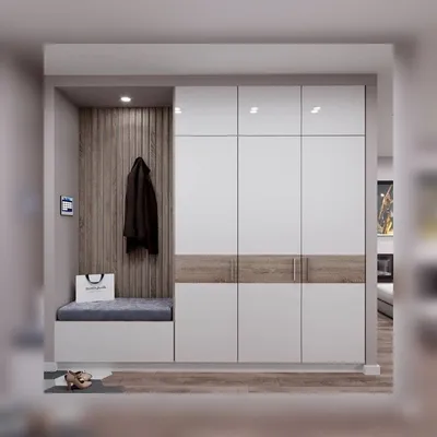Шкаф в коридор | Дизайн интерьера для дома, Дизайн дома, Дизайнерские  гостиные