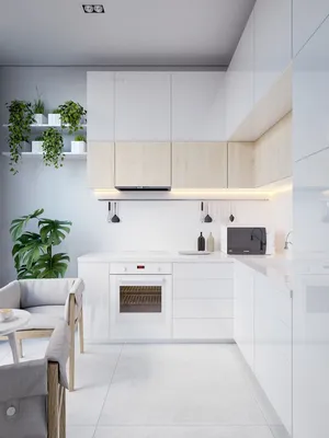 Узкая кухня: более 130 фото лучших примеров современного дизайна для  интерьера длинной кухни. Советы по выбору планировки и мебели
