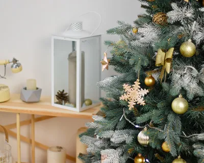 Как украсить елку на 2023 год: основные цвета и стили для новогодней  красавицы в год Черного Кролика — Украина — tsn.ua