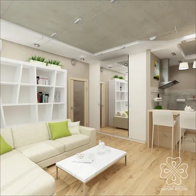 Дизайн однокомнатной квартиры для семьи с подростком » Современный дизайн  на Vip-1gl.ru