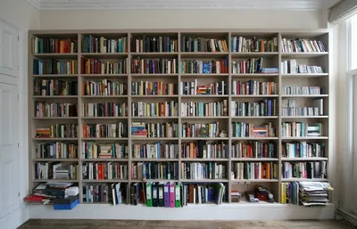 Книжные шкафы и полки в интерьере: разные варианты разместить книги