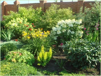 Многоуровневый миксбордер с пионами и гладиолусами (21-11) | Ландшафтный  дизайн садов и участков