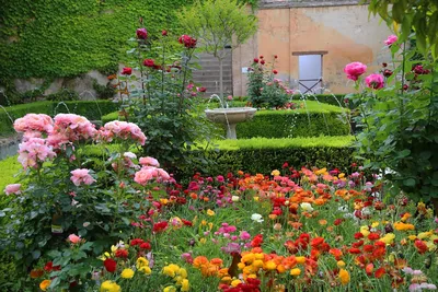 Мусульманский стиль сада — строгость линий и роскошь растений. Ландшафтный  дизайн. Фото — Ботаничка