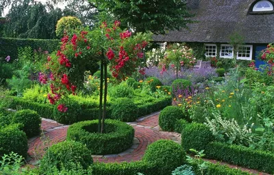 Дизайн садового участка на 6 соток: как красиво оформить ландшафт с фото