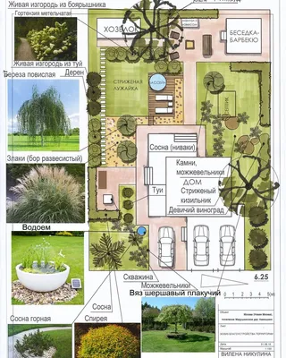 6 соток. Новая Москва. Для заказа ландшафтного проект | Garden landscape  design, Landscape design plans, Landscape design