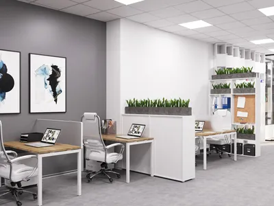 Дизайн маленького офиса: особенности разработки дизайн-проекта интерьера  небольших офисов