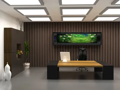 Современный интерьер офиса