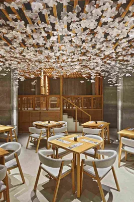 Проект суши-бара Nozomi в Валенсии — HQROOM | Japanese restaurant interior,  Restaurant interior design, Japanese restaurant design