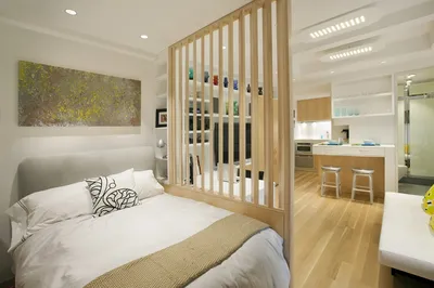 Дизайн комнаты 20 кв м спальни и гостиной вместе, идея зонирования, фото