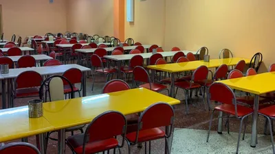 Восемь учеников из Хакасии отравились, пообедав в школьной столовой