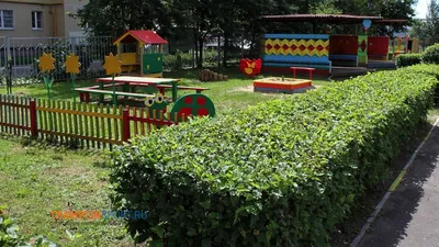 Ландшафтный дизайн детского сада | Смотреть 60 идеи на фото бесплатно