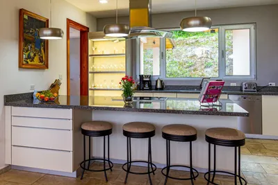Дизайн кухни с барной стойкой: советы, идеи, 30+ фото современных интерьеров