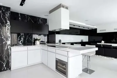 Бело черная кухня в интерьере - 70 фото