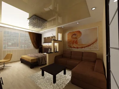 Гостиная спальня 18 квадратов — фото дизайна интерьеров