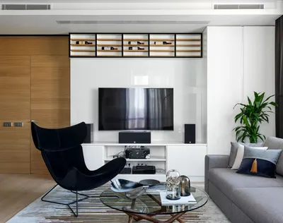 Телевизор в гостиной – 135 лучших фото дизайна зоны тв в интерьере гостиной