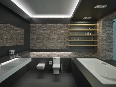 Светильники для ванной: как выбрать потолочные точечные на 220 V, бра на  стену или дизайнерские для душевых помещений, на пластиковый или натяжной  потолок