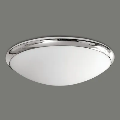Светильник для ванной комнаты ACB ILUMINACION 490/31 (P04904OP) ESUS -  купить светильник для ванной комнаты по цене 7 020 руб в интернет-магазине  Светонов