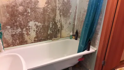 Жидкие обои в ванной - 64 фото