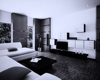 Черно белый дизайн гостиной - 65 фото