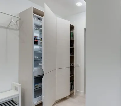 Холодильник в прихожей: примеры как спрятать в интерьере комнаты, фото  дизайна