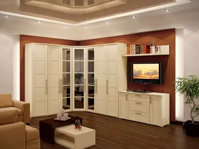 Мебель в гостиную с угловым шкафом - 65 фото