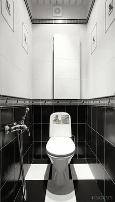 Черно белый туалет - 68 фото