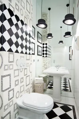 Туалет в черно белом цвете (57 фото)