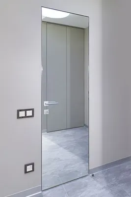 Зеркальная дверь в ванной | Внутренняя дверь, Неоклассический интерьер,  Ванная стиль