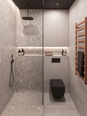 Туалет с душем в квартире - 60 фото