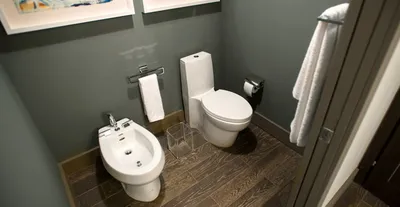 Унитаз в туалете - 69 фото