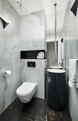 Фото интерьера, Гостевой туалет площадью 2 кв.м. в стиле Классическая.  Проект Гостевой туалет - Донской… | Черно-белые ванные комнаты, Современный  туалет, Интерьер
