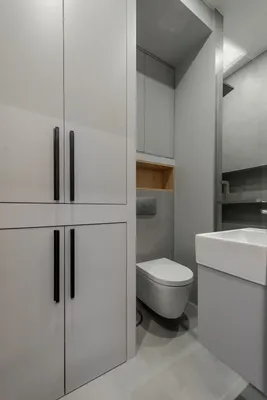Интерьер ванной комнаты с душевой кабиной совмещенной с туалетом – 55 фото  реальных проектов