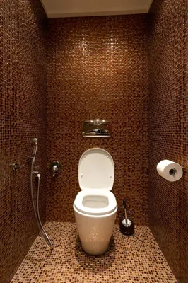 Туалет в мозаике - 68 фото