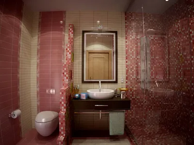 Интерьер ванной комнаты с душевой кабиной, совмещенной с туалетом: фото,  дизайн | DomoKed.ru