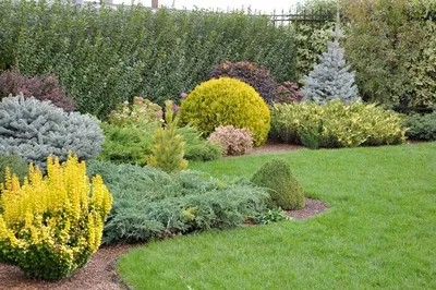 ландшафтный дизайн сада с дорожками, пересекающими зеленые газоны и  горшечные цветы. полотно в саду. альбомная конструкция Стоковое Фото -  изображение насчитывающей путь, пересекать: 217804526