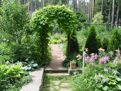 Ландшафтный дизайн сада ландшафтный сад с растениями засевает камень травой  кирпичей Стоковое Фото - изображение насчитывающей карточка, красивейшее:  212909832