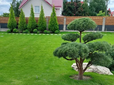 Ландшафт дизайн сада - Клееный брус Иваново, продажа клееного бруса от  компании ГЛУЛАМ