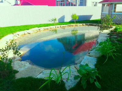 Дизайн зоны бассейна на даче (69 фото) » НА ДАЧЕ ФОТО