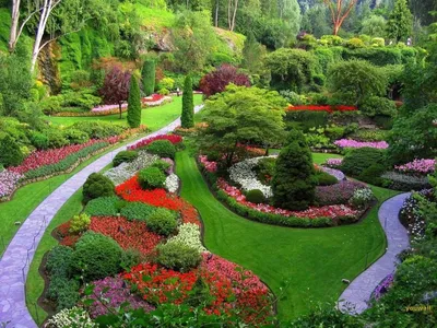 Дизайн сада и огорода ландшафтный своими руками с фото