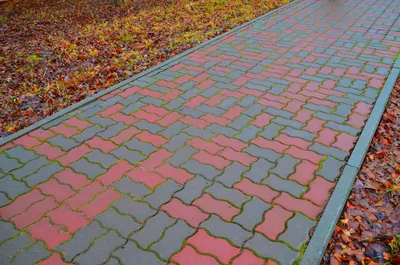 Тротуарная плитка: 70+ фото на дорожках, крыльце, ступеньках, идеи  ландшафтного дизайна