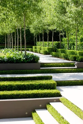 Создаем дизайн садового участка: рекомендации и 90 избранных идей своими  руками
