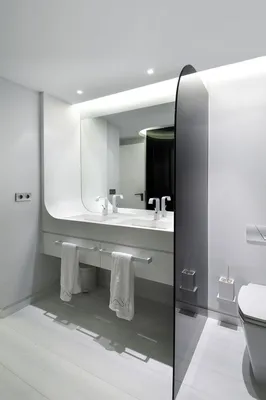 Чаще всего цвета которые преобладают в стиле хай тек - это белый, серый и  черный | Красивые ванные комнаты, Дизайн туалета, Интерьер