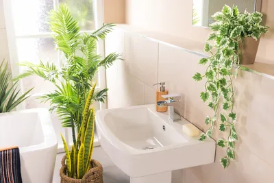 Фэн-шуй: ванная комната с проблемами может «украсть хорошую энергию» | Сайт  произведений искусства