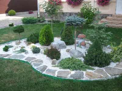 Горная сосна в ландшафтном дизайне сада: декоративная низкорослая,  альпийская, карликовая и ползучая - 22 фото