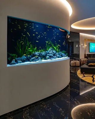 Дизайнерские аквариумы - 70 фото