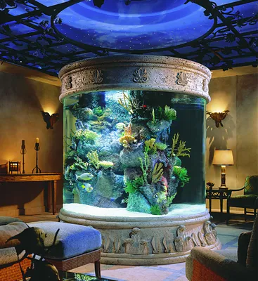 Как выбрать красивый аквариум в квартиру