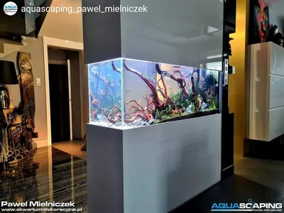 Акриловый цилиндрический аквариум Ателье дизайна Aqua Dreams Art