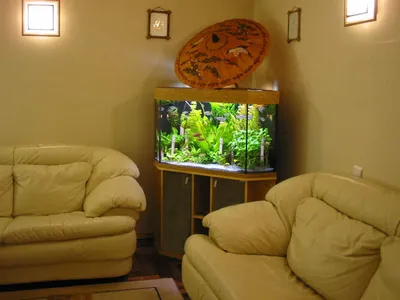 Оформление аквариума на 120 литров для начинающих - YouTube