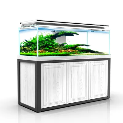 Новый дизайн аквариума | Пикабу