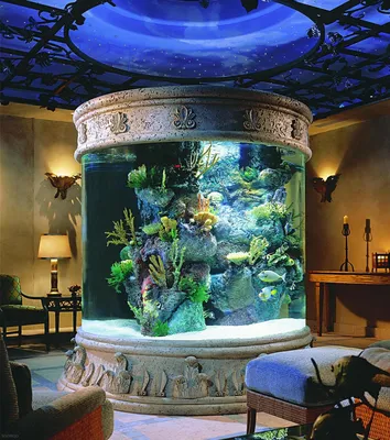 Виды, дизайн, изготовление аквариумов